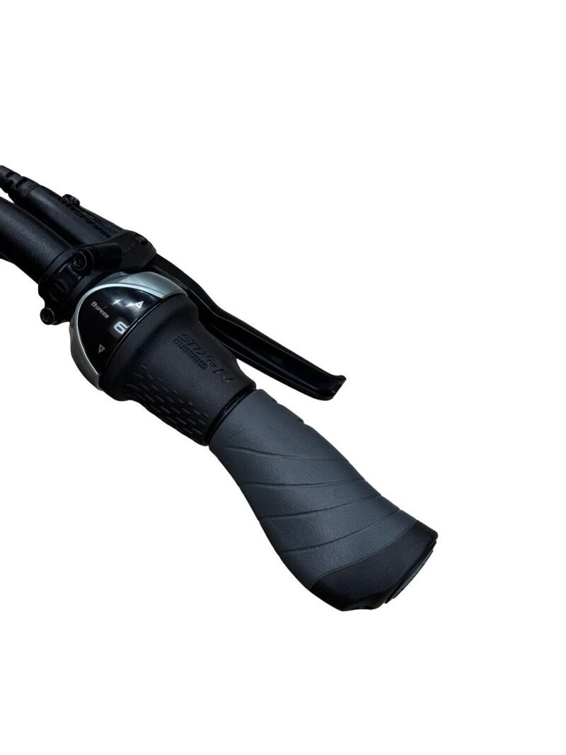 Kalkhoff Agattu 3.B Shimano Nexus 2022