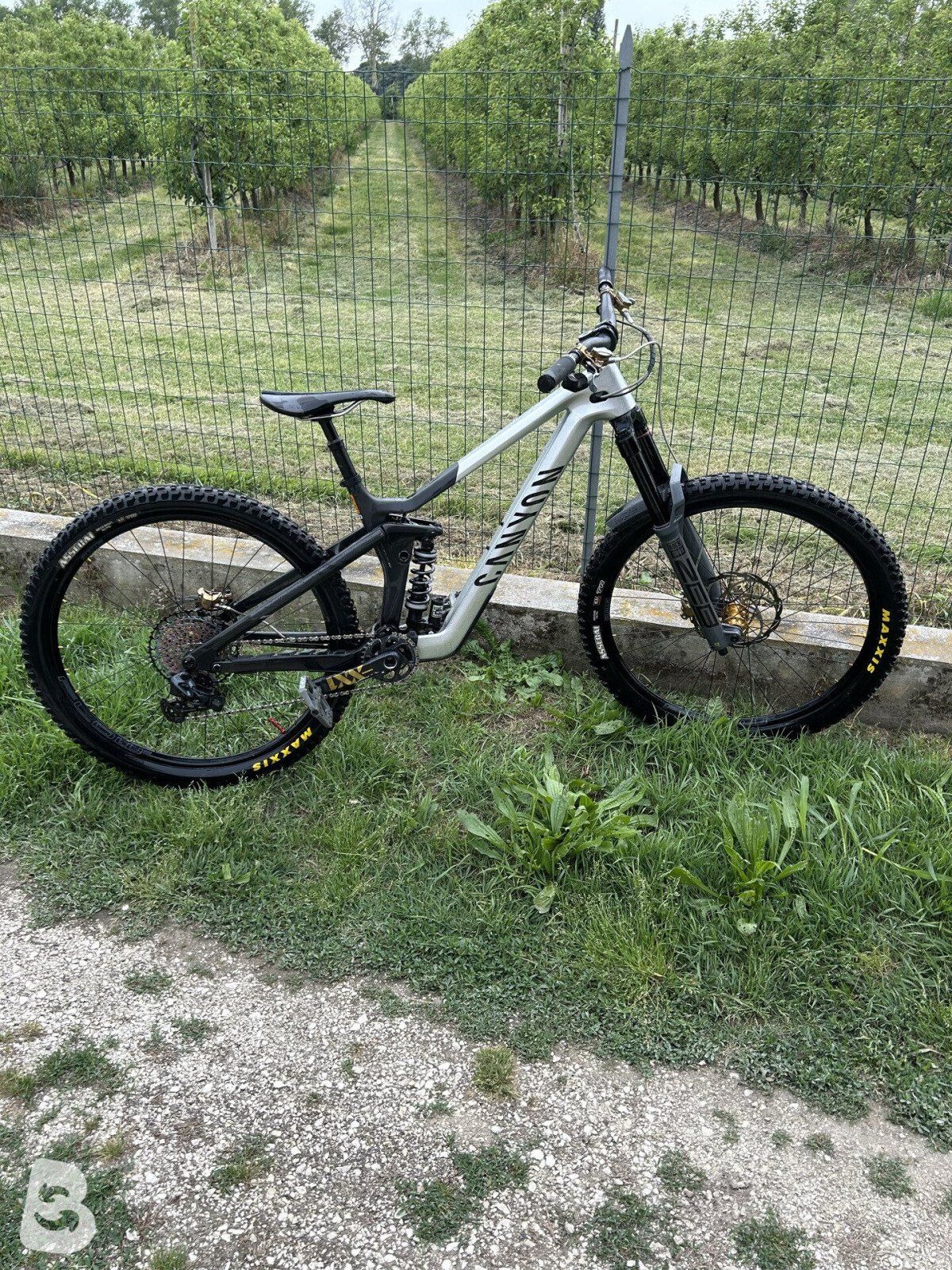 Canyon Strive CFR LTD 2023