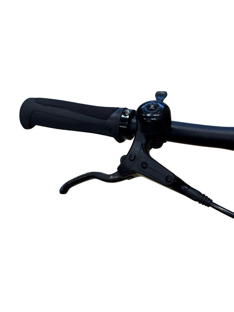Tenways CGO600 PRO Single-Speed 2023