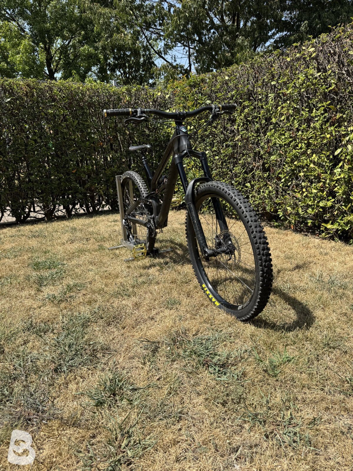 Canyon Torque CF 8.0 2020