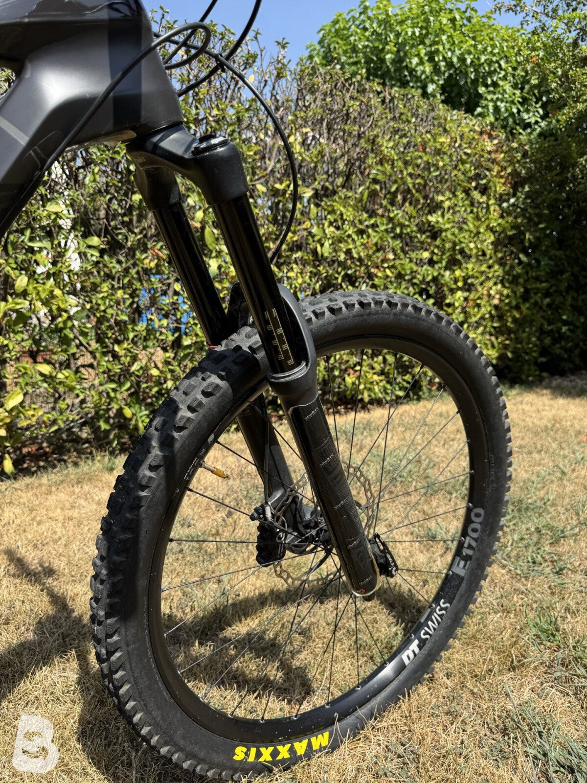 Canyon Torque CF 8.0 2020