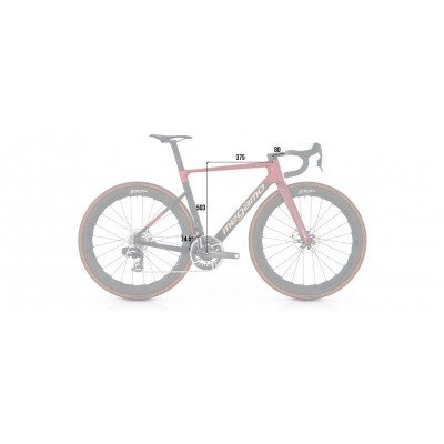 Megamo PULSE 05 2025