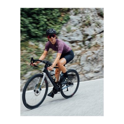 Wilier RAVE SL