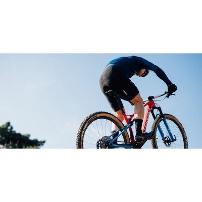 Wilier URTA SLR