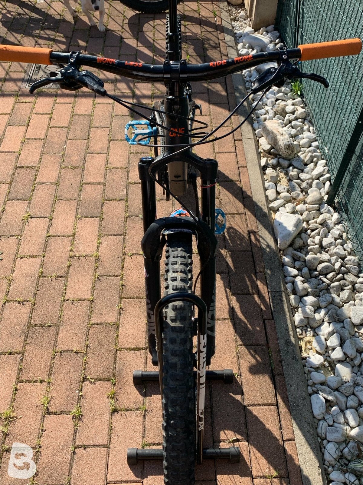Trek Slash 9.8 2020