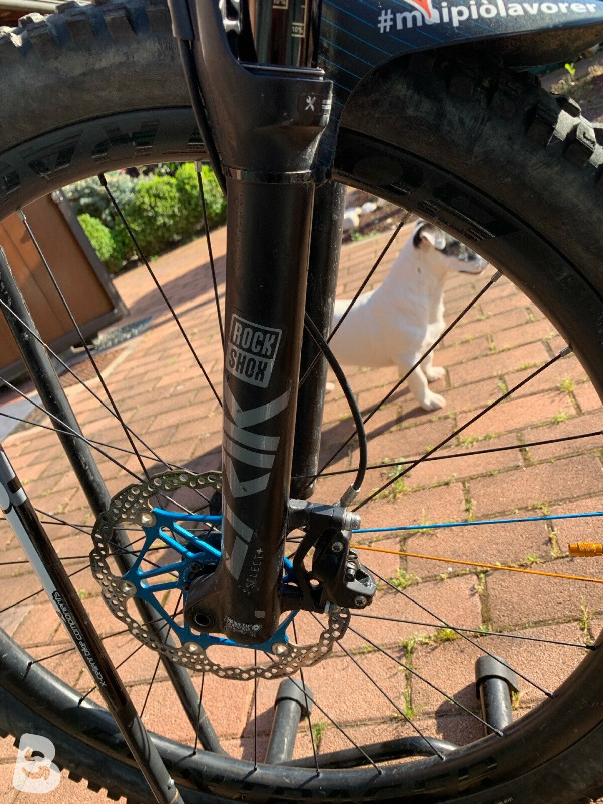 Trek Slash 9.8 2020