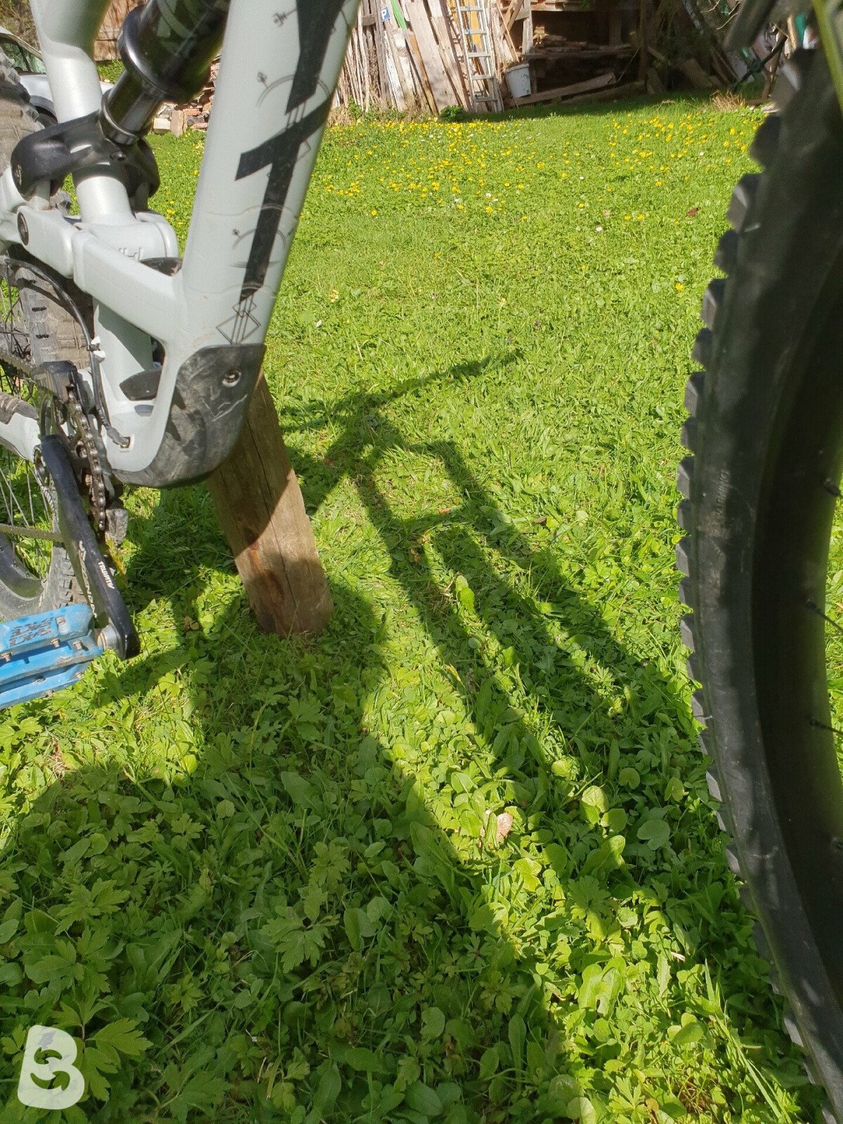 YT Industries Capra AL Mullet 2023