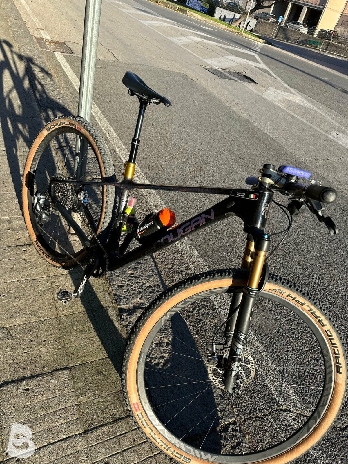 Lee Cougan Rampege 2021