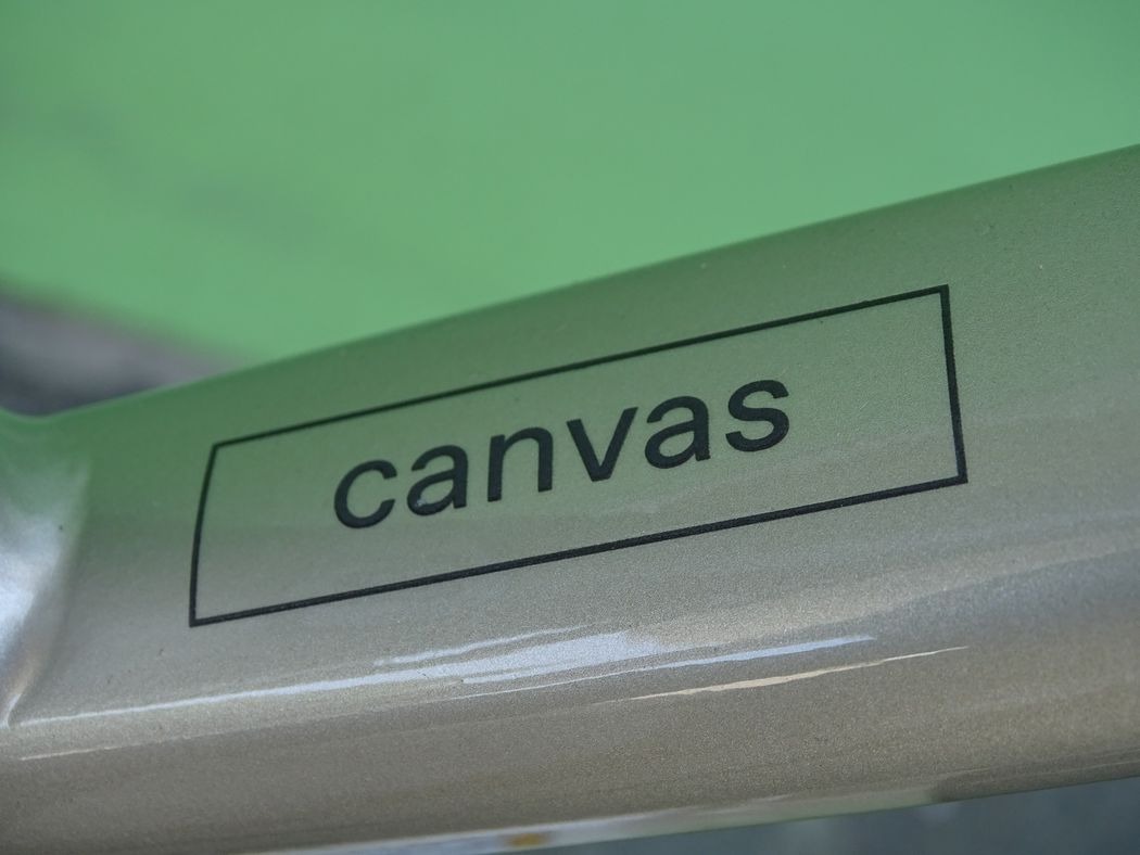 Cannondale Canvas Neo 2 Remixte 2021