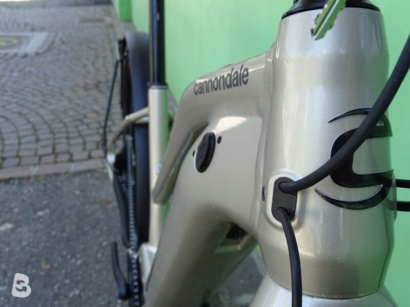 Cannondale Canvas Neo 2 Remixte 2021
