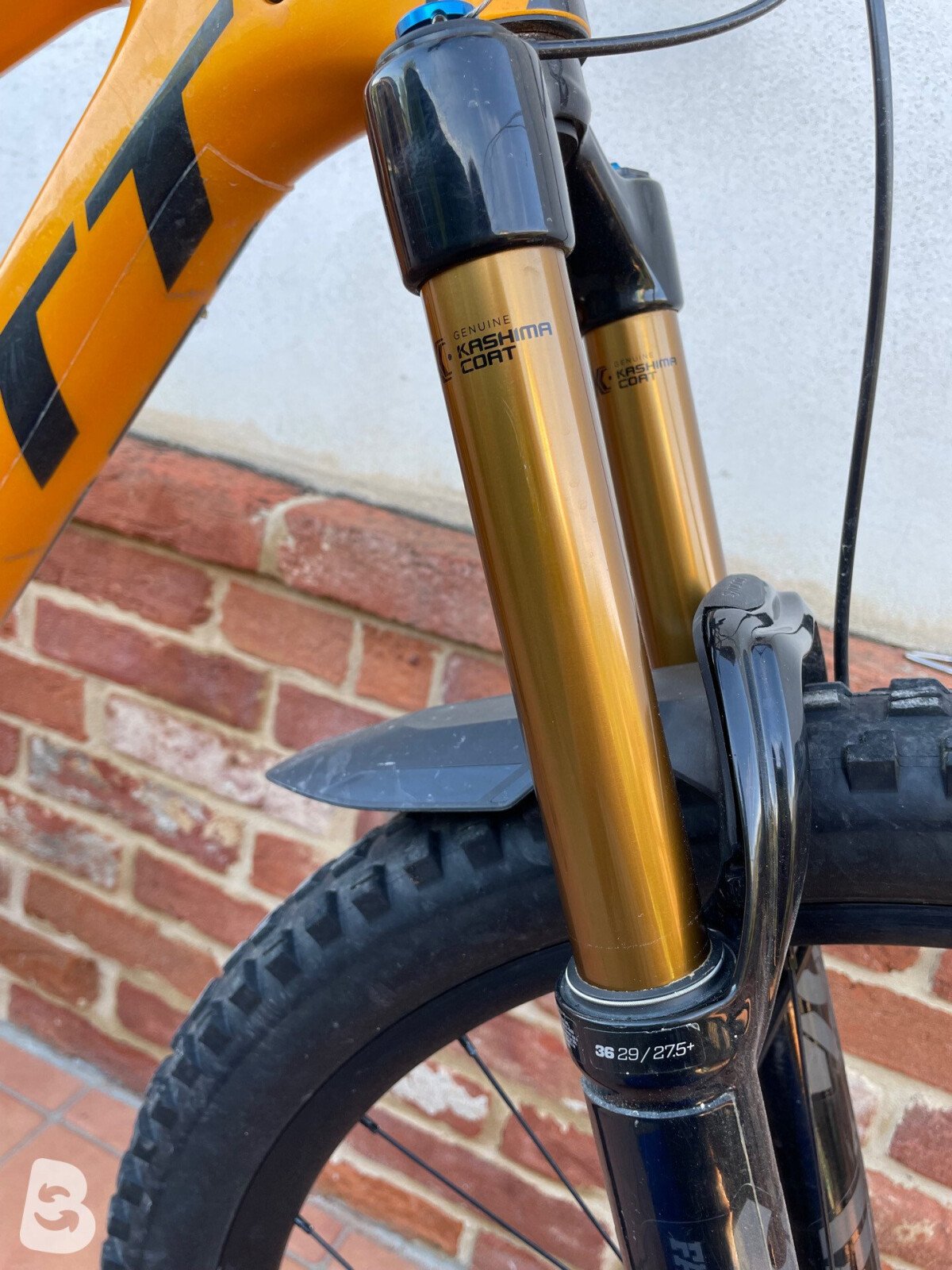 Scott Ransom 900 Tuned 2020