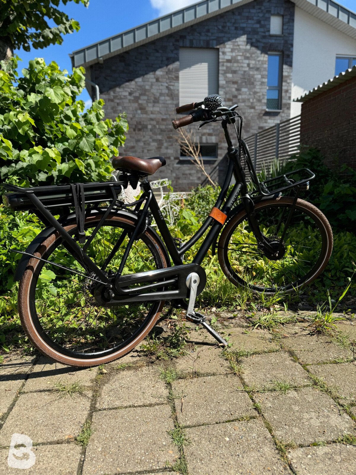 Stella Dolce Superior MDS 2019