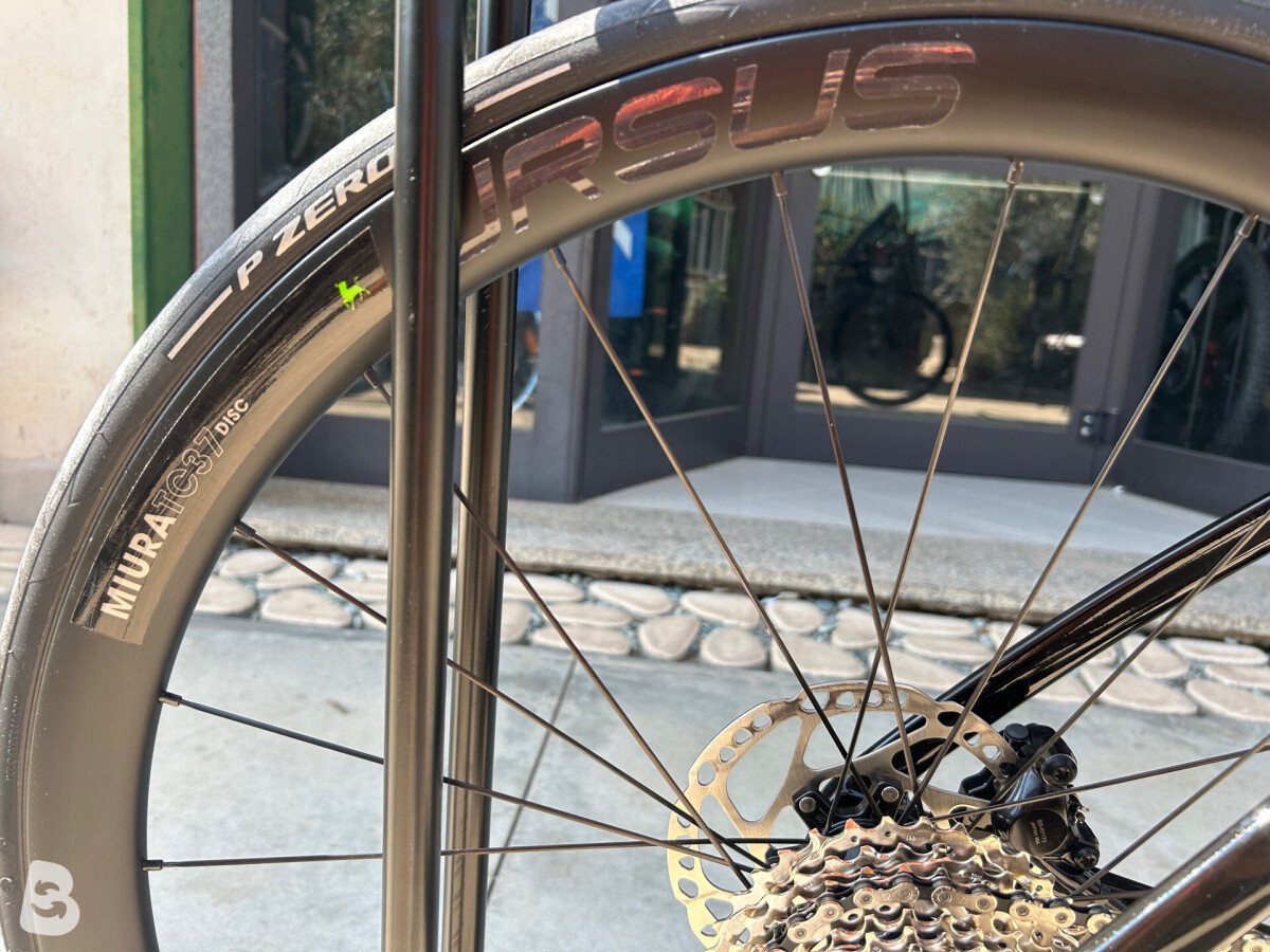 Corratec CCT TEAM Pro Disc 2026