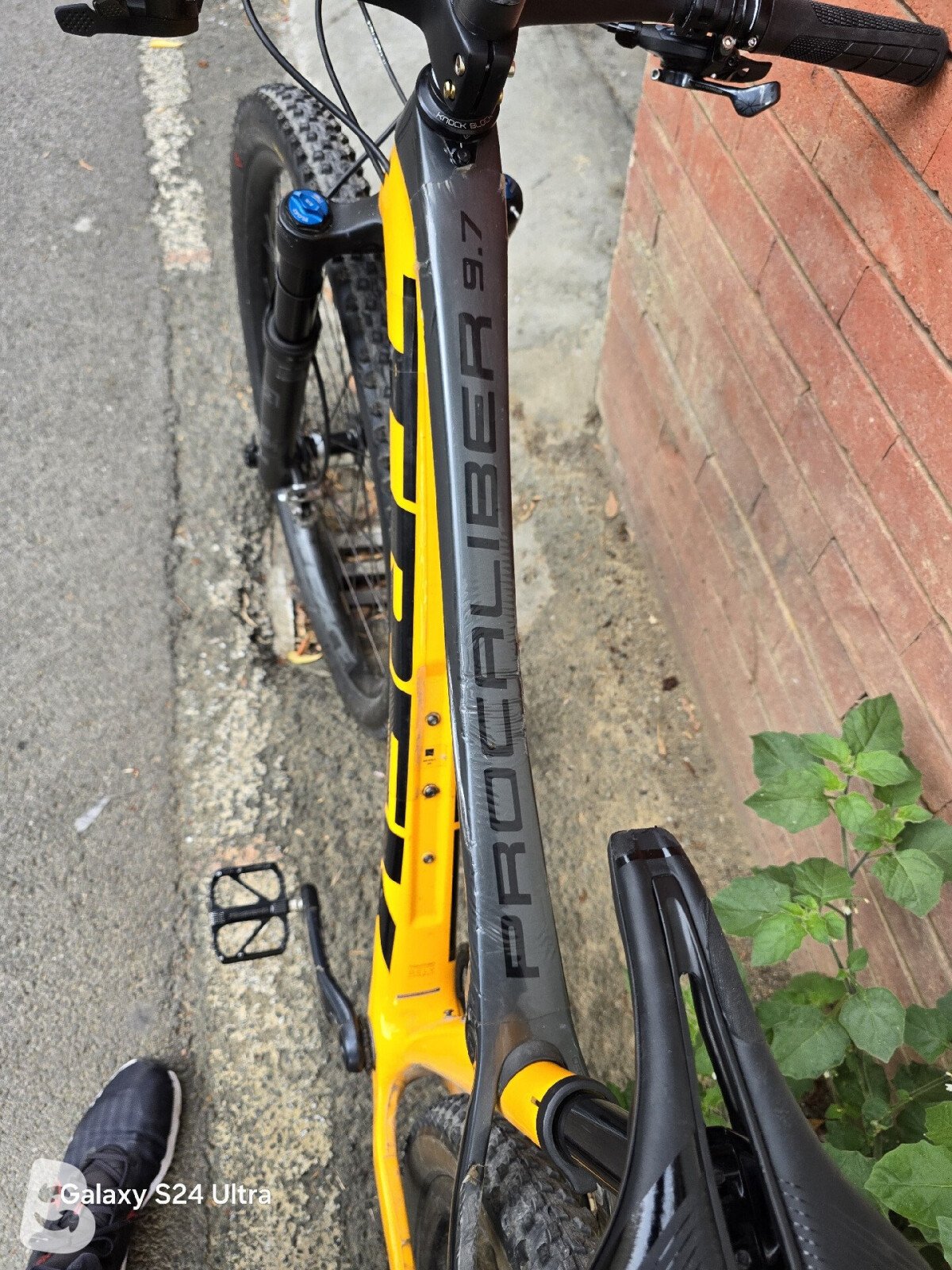 Trek Procaliber 9.7 2022