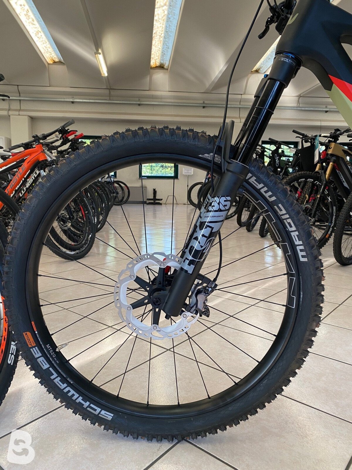 Whistle CHEYENNE ENDURO 29" 12V 2024