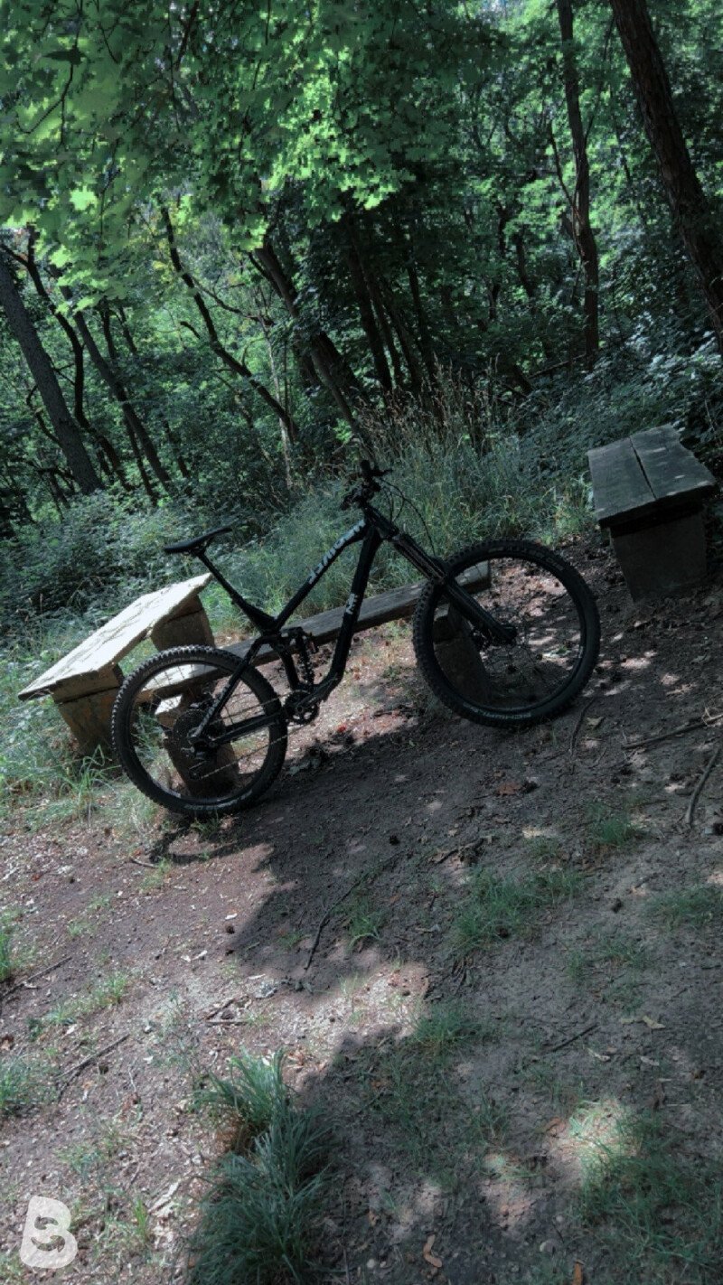 NS Bikes Define Al 160 2022