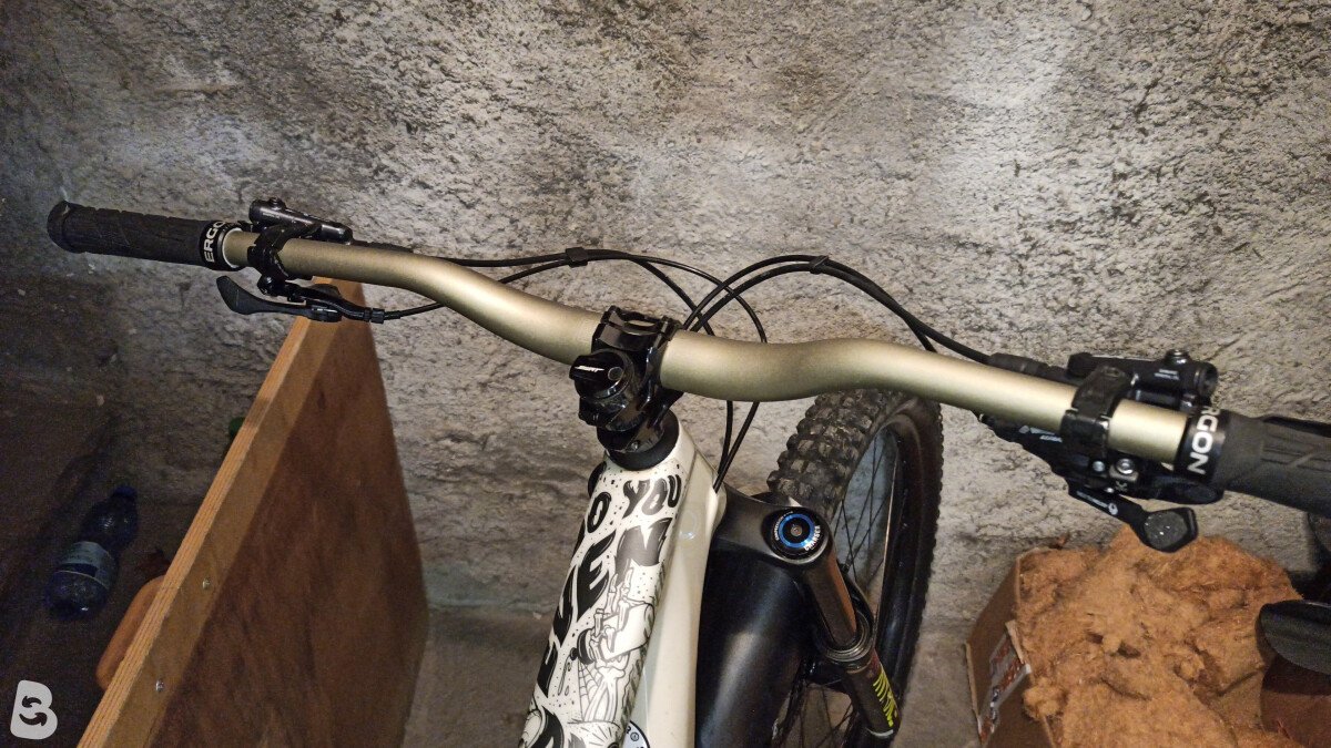 Specialized Enduro Elite 2020