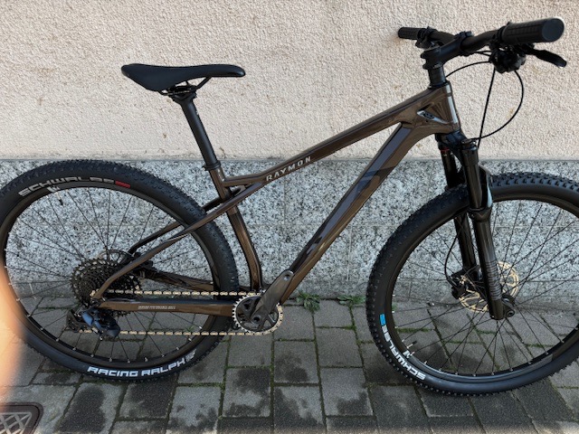 Raymon Hardray 8.0 2024